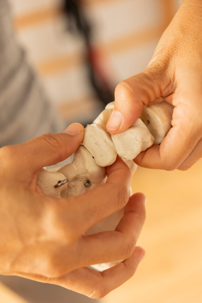 Tratamientos combinados: NESA World y fisioterapia manual